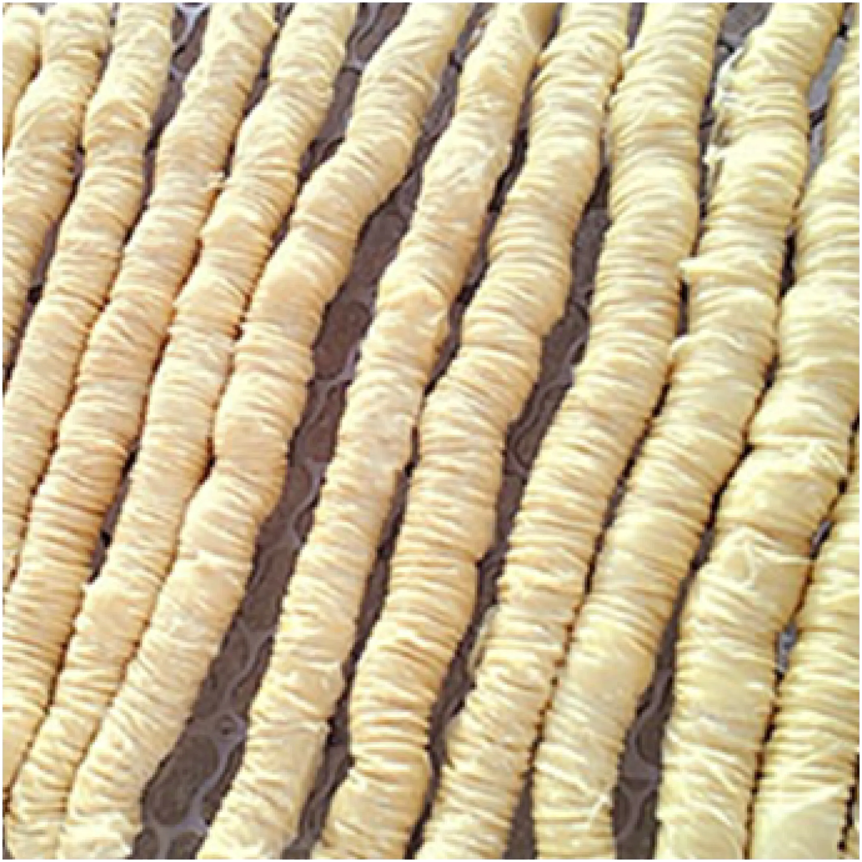 食在安心 - 豆皮產品